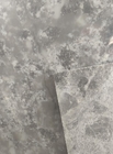 灰色のカウンタートップの花こう岩の大理石の水晶台所カウンタートップかテーブルの上