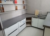 家の設計台所のための衛生学の灰色12MMの人工的な水晶平板