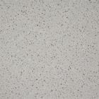 3000*4000*20MMの薄い灰色のガラス壁のパネルの水晶石造りの床の壁