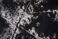 凝集性にパターン大理石の見ることを用いる黒いCalacataの人工的な水晶台所カウンタートップ