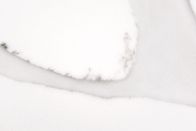 Calacattaの白い人工的な水晶石造りの平板NSFはBenchtopのために証明した