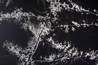 凝集性パターンが付いている黒いCalacataの人工的な水晶台所カウンタートップ